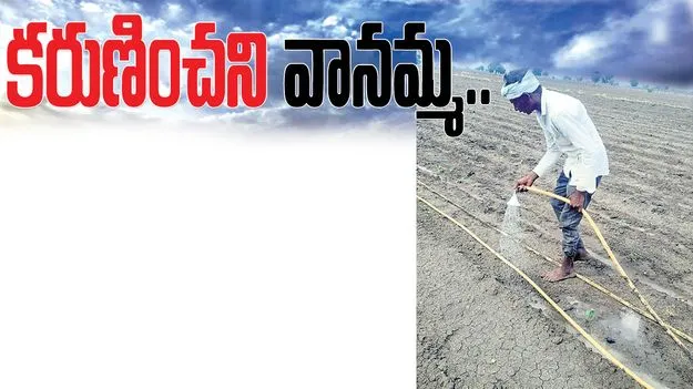 కరుణించని వానమ్మ