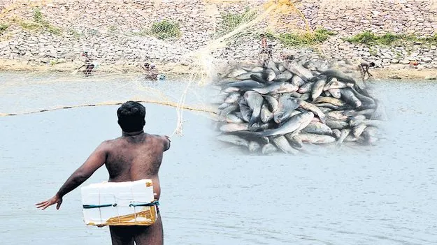 Raajanna siricilla :  నీటి మీద బతుకు పోరాటం