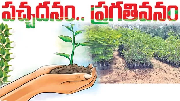 పచ్చదనం.. ప్రగతివనం