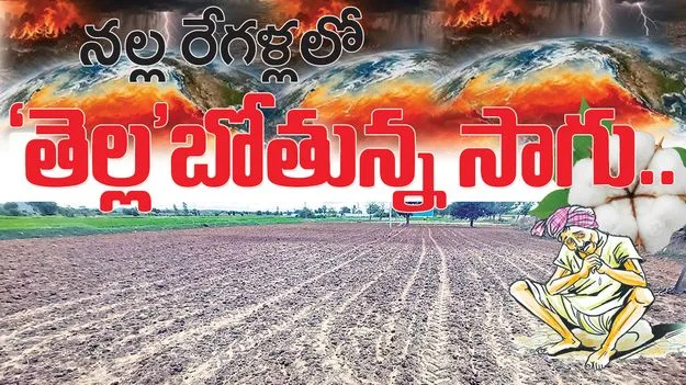 నల్ల రేగళ్లలో ‘తెల’్లబోతున్న సాగు..