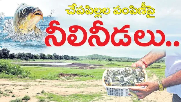 చేపపిల్లల పంపిణీపై నీలినీడలు..