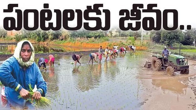 పంటలకు జీవం.. 