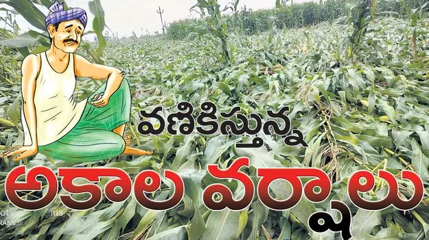 వణికిస్తున్న అకాల వర్షాలు