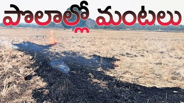 పొలాల్లో మంటలు..