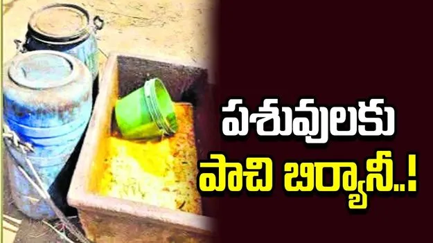 అధిక పాల కోసం కక్కుర్తి.. పశువులకు పాచి బిర్యానీ..!