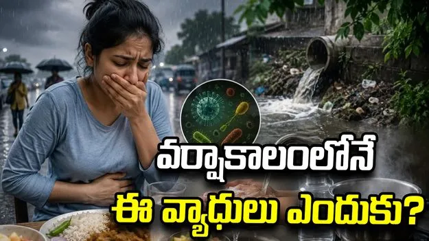 వర్షాకాలంలో స్టమక్ ఇన్ఫెక్షన్లు ఎందుకు పెరుగుతాయి? ఇలా జాగ్రత్తపడండి
