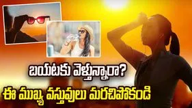 వేసవిలో బయటకు వెళ్లేటప్పుడు తీసుకెళ్లాల్సిన 5 ముఖ్య వస్తువులు