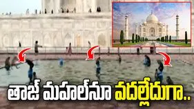తాజ్ మహల్‌‌నూ వదల్లేదుగా.. ఈ కోతులు ఏం చేశాయో చూస్తే..