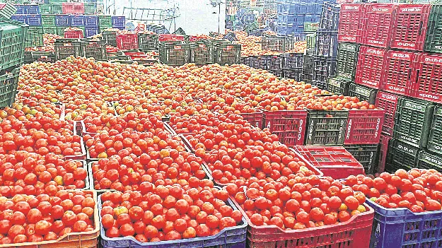 కిలో టమోటా రూ.41