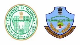 తెలంగాణ అటవీ శాఖలో కీలక మార్పులు.. హెచ్‌ఓఎఫ్‌ఎఫ్ డా. సి. సువర్ణ పదవీ విరమణ