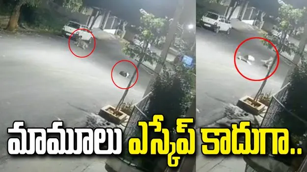 చిరుతకే షాక్.. ఈ కుక్క చేసిన పని చూస్తే అవాక్కవ్వాల్సిందే..