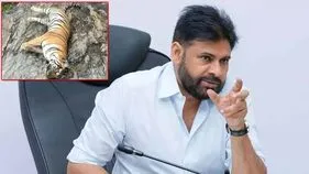 ఎన్‌ఎస్‌టీఆర్ పరిధిలో పులి మరణంపై డిప్యూటీ సీఎం పవన్ కల్యాణ్ స్పందన...