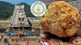 తిరుమల లడ్డూ వివాదం.. ఏకసభ్య కమిషన్ నివేదికపై కమిటీ