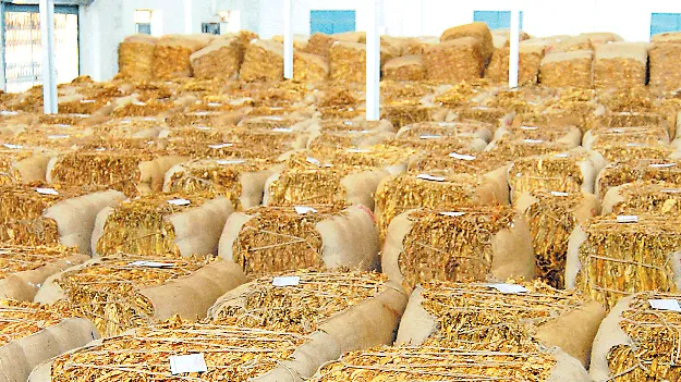 స్వల్పంగా తగ్గిన నోబిడ్‌లు