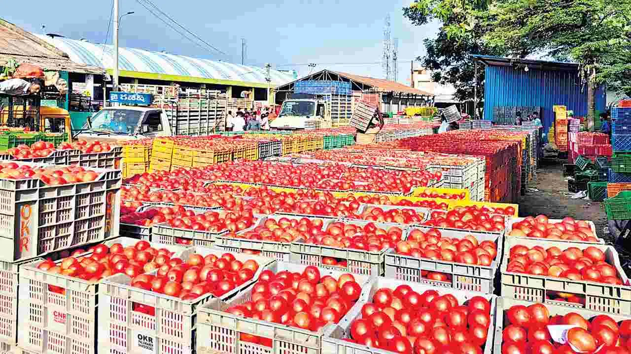 Tomato: టమోటా ధరల పతనం