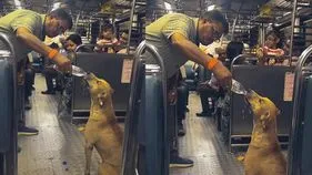 పరిమళించిన మానవత్వం.. లోకల్ ట్రైన్‌లో వీధి కుక్కకు నీళ్లు తాగించిన వ్యక్తి 