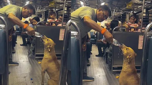 పరిమళించిన మానవత్వం.. లోకల్ ట్రైన్‌లో వీధి కుక్కకు నీళ్లు తాగించిన వ్యక్తి 