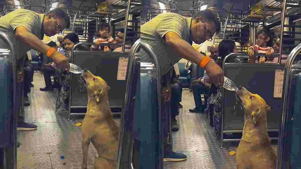 పరిమళించిన మానవత్వం.. లోకల్ ట్రైన్‌లో వీధి కుక్కకు నీళ్లు తాగించిన వ్యక్తి 