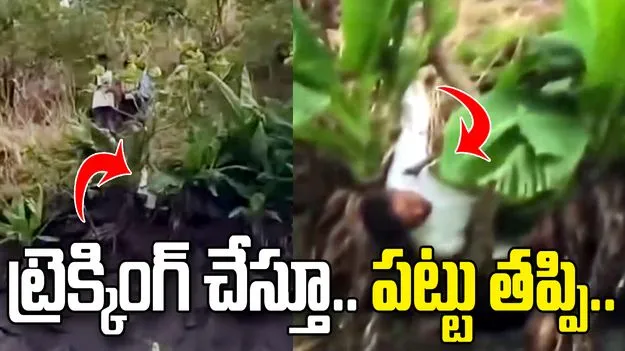 ట్రెక్కింగ్ చేస్తూ పట్టు తప్పి లోయలో పడిన యువకుడు.. చివరికి ఏమైందంటే!