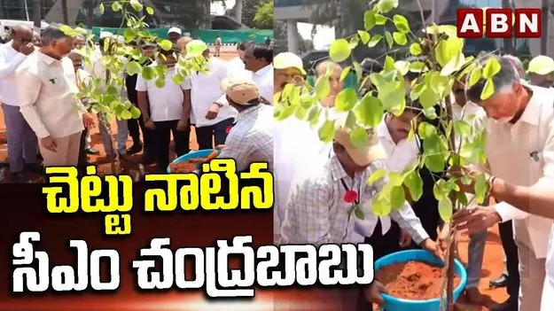మొక్కలు పెంచే వాళ్లకే వచ్చే ఎన్నికల్లో ఛాన్స్.. సీఎం సరదా వ్యాఖ్యలు