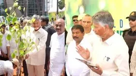 మొక్కలు పెంచే వాళ్లకే వచ్చే ఎన్నికల్లో టిక్కెట్లు.. సీఎం సరదా వ్యాఖ్యలు