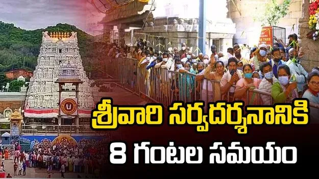 శ్రీవారి సర్వదర్శనానికి 8గంటల సమయం