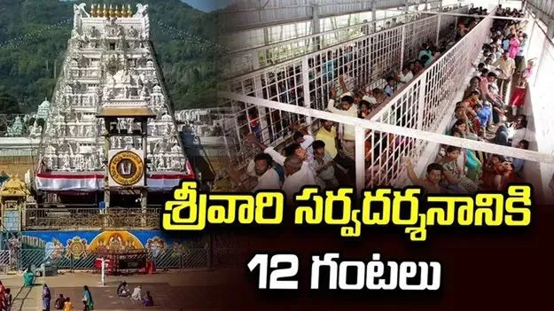 శ్రీవారి సర్వదర్శనానికి 12 గంటలు..