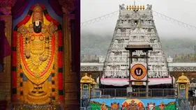 శ్రీవారి సర్వదర్శనానికి 8 గంటల సమయం