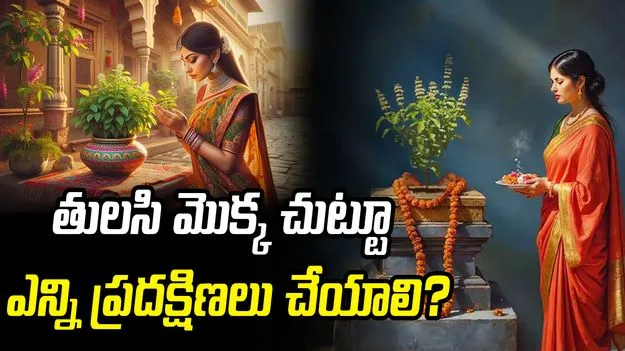 తులసి మొక్క చుట్టూ ఎన్ని ప్రదక్షిణలు చేయాలి?