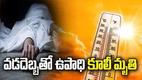 కొమురం భీం జిల్లాలో వడదెబ్బతో ఉపాధి కూలీ మృతి.. మరో ఏడుగురి పరిస్థితి విషమం