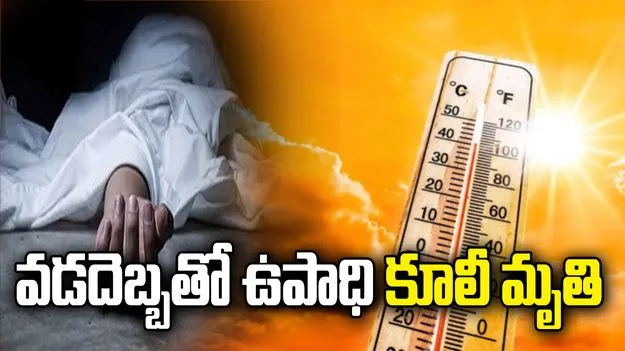 కొమురం భీం జిల్లాలో వడదెబ్బతో ఉపాధి కూలీ మృతి.. మరో ఏడుగురి పరిస్థితి విషమం