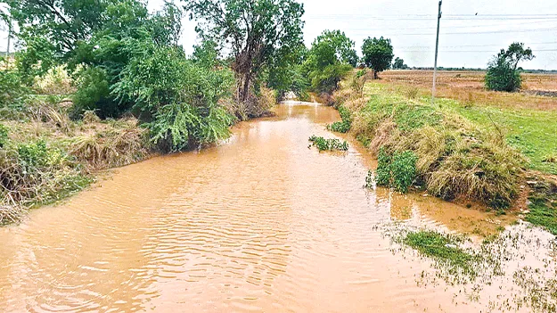 మురిపించిన వర్షం 