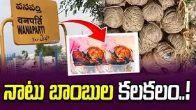 వనపర్తి జిల్లా గోవర్ధన్‌గిరిలో నాటు బాంబుల కలకలం..