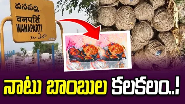 వనపర్తి జిల్లా గోవర్ధన్‌గిరిలో నాటు బాంబుల కలకలం..