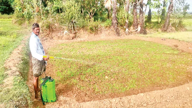 Rain Worries చినుకు చింత
