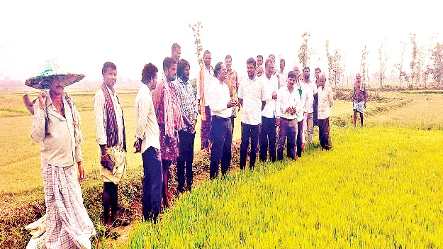  Crops తక్కువ నీటితో సాగయ్యే పంటలే వేయాలి