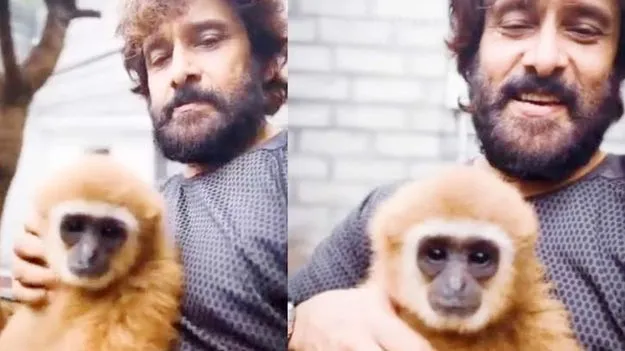అరుదైన కోతి పెంపకం..వివాదంలో విక్రమ్‌!