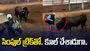 కోపంతో పొడవడానికి వచ్చిన ఎద్దు.. ఇతను చేసిన చిన్న ట్రిక్‌తో.. చివరకు.. 