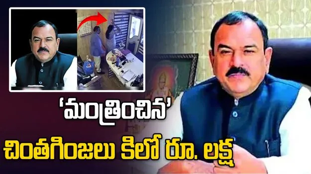 ‘మంత్రించిన’ చింతగింజలు కిలో రూ.లక్ష 