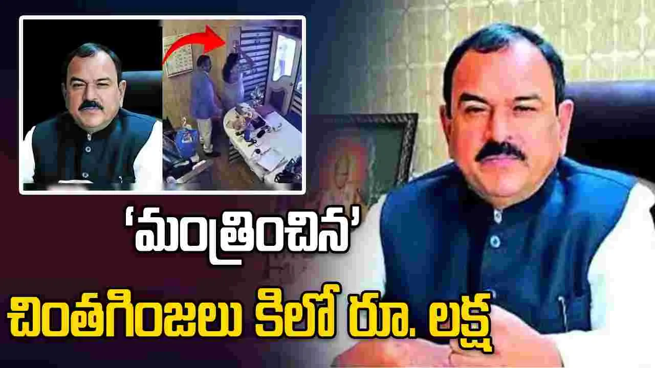 ‘మంత్రించిన’ చింతగింజలు కిలో రూ.లక్ష 