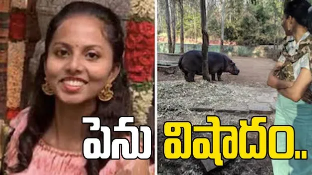 పెను విషాదం.. హిప్పో దాడిలో ప్రాణాలు కోల్పోయిన డాక్టర్..
