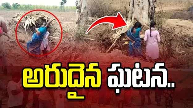 ప్రకాశం జిల్లాలో అరుదైన ఘటన..  ప్రజలను ఆశ్చర్యానికి గురిచేస్తున్న రావిచెట్టు