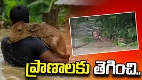 అస్సాం వరదలు.. ఆవు దూడ కోసం ప్రాణాలకు తెగించిన వ్యక్తి..