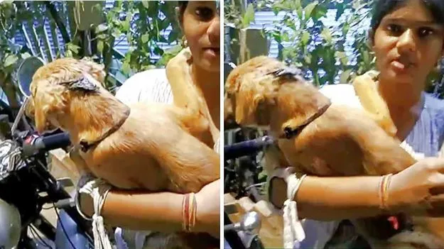 కుక్క కోసం ప్రాణాలకు తెగించిన యువతి.. మంటల్ని లెక్క చేయకుండా..