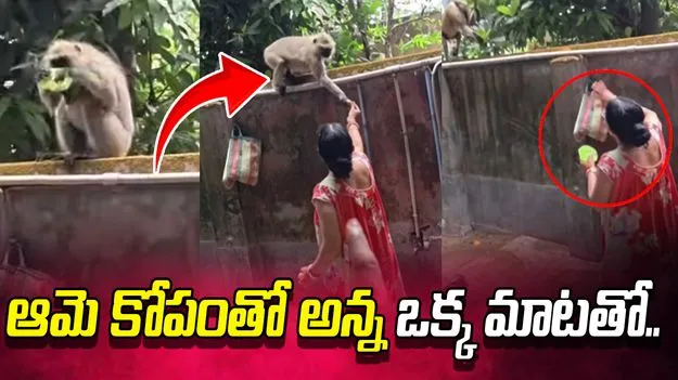 సబ్బు తింటున్న కోతి.. మందలించిన మహిళ.. చివర్లో ట్విస్ట్ చూస్తే.. 