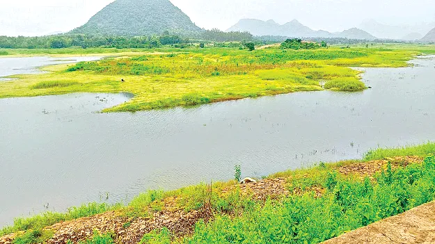   VRS   వీఆర్‌ఎస్‌ వెలవెల