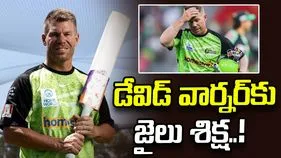 డ్రంకెన్ డ్రైవ్ కేసు.. డేవిడ్ వార్నర్‌ను దోషిగా తేల్చిన కోర్టు