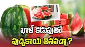 ఖాళీ కడుపుతో పుచ్చకాయ తినవచ్చా?