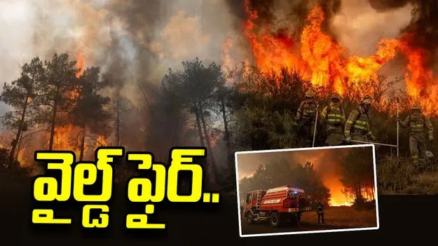 స్పెయిన్-ఫ్రాన్స్‌ సరిహద్దులో కార్చిచ్చు బీభత్సం.. 2.5 లక్షల మందికి పైగా తరలింపు.. 