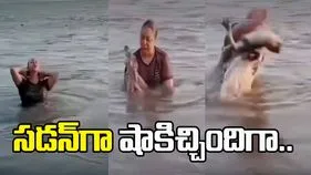 నదిలో స్నానం చేస్తున్న యువతి.. సడన్‌గా చేతికి తగిలిన మొసలి.. చివరకు.. 